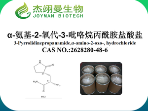 α-氨基-2-氧代-3-吡咯烷丙酰胺盐酸盐 T13